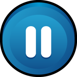 Button Pause Icon 256x256 png